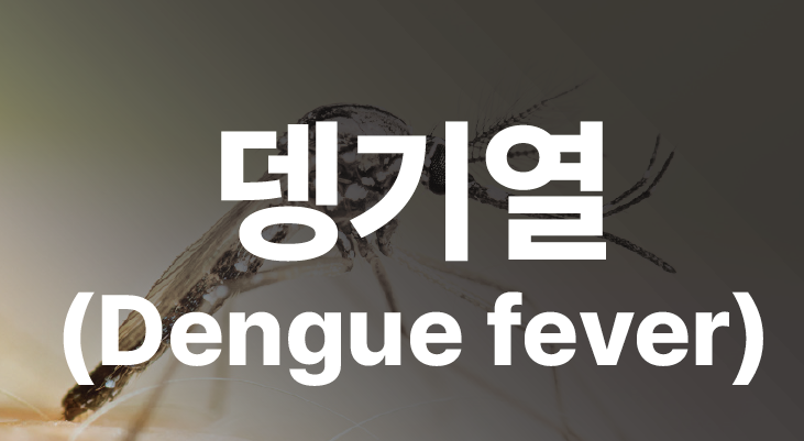 뎅기열(Dengue fever)의 증상, 매개 모기, 진단기준, 백신, 치료