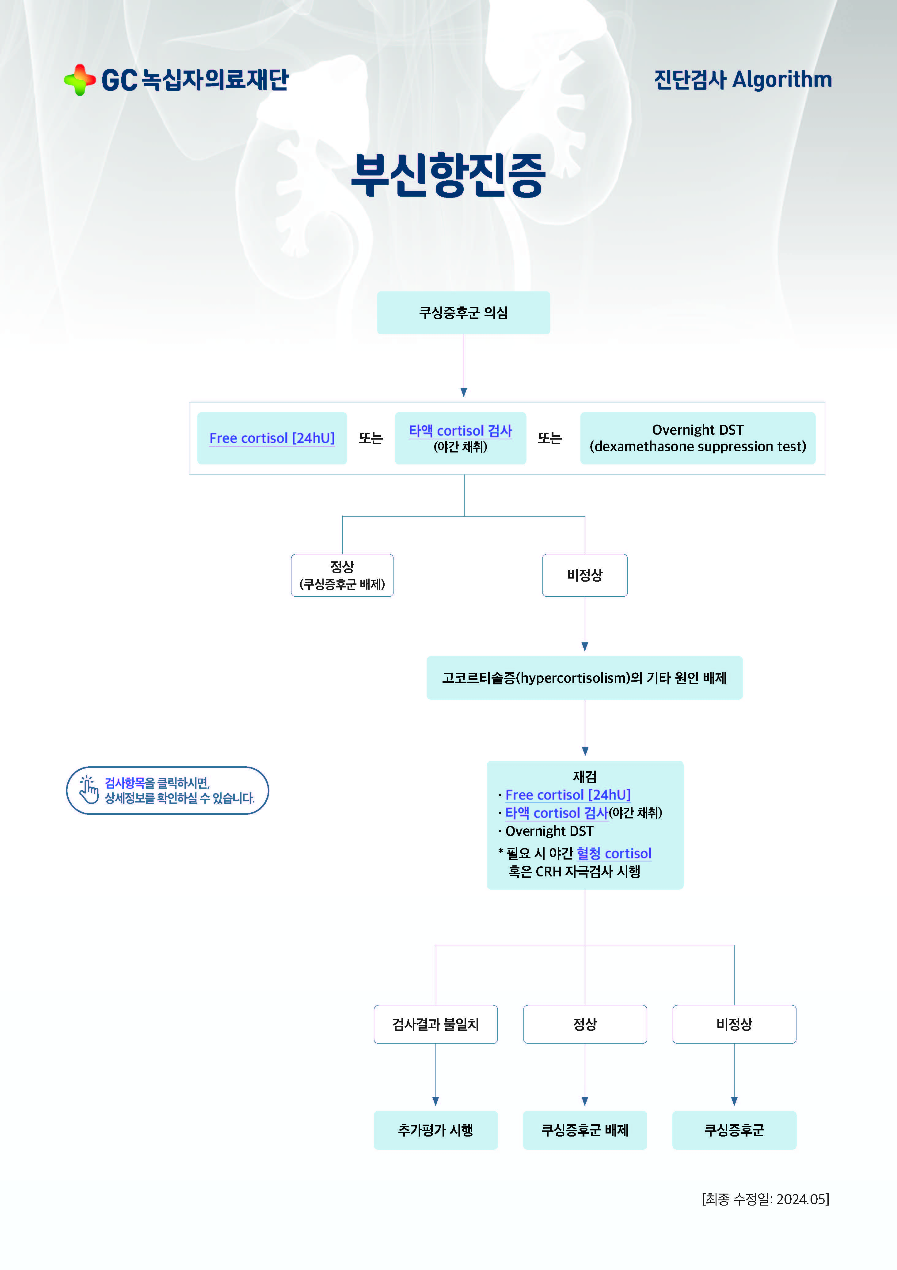 부신항진증.jpg